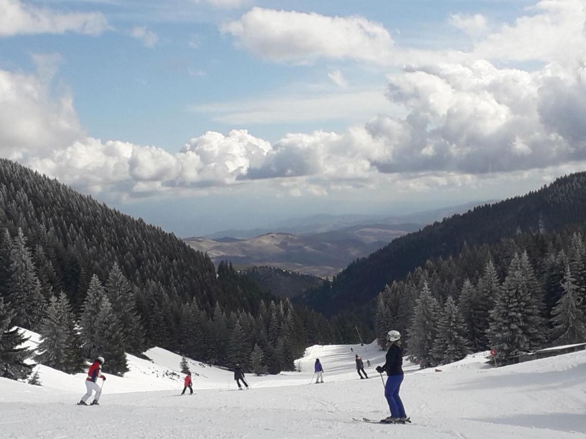 Appartement Milmari S30 à Kopaonik Extérieur photo